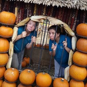 Meet your Posher, Olga